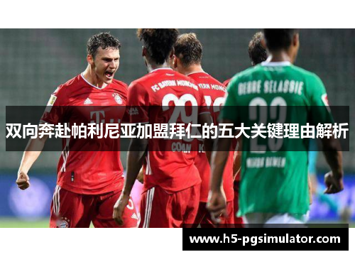 双向奔赴帕利尼亚加盟拜仁的五大关键理由解析