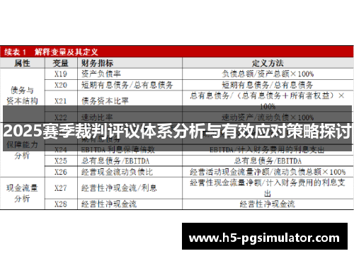 2025赛季裁判评议体系分析与有效应对策略探讨